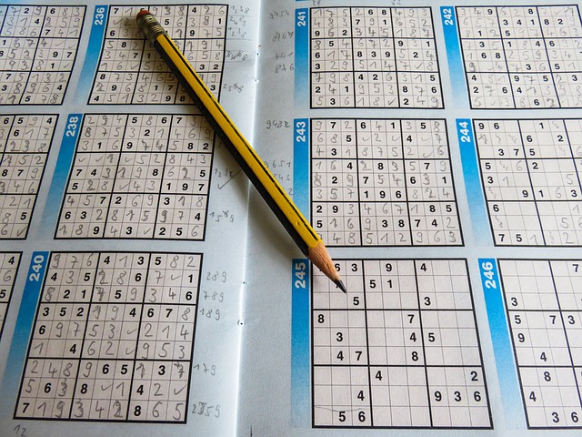 Sudoku w odniesieniu do empatii